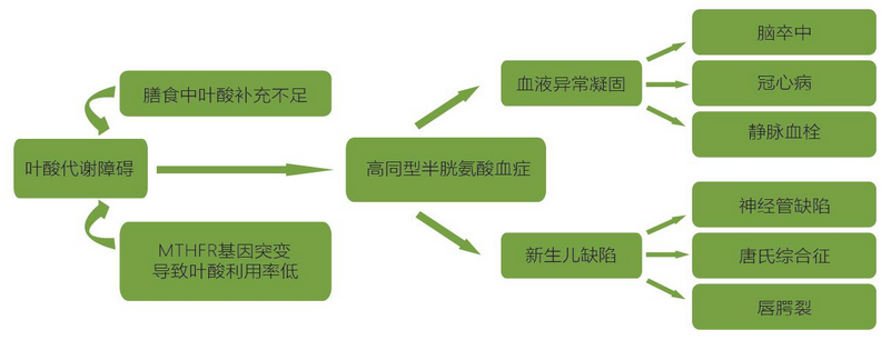 c7c7娱乐平台官网入口(中国游)官方网站