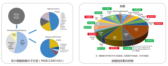c7c7娱乐平台官网入口(中国游)官方网站