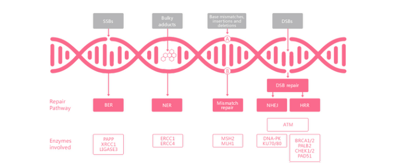 c7c7娱乐平台官网入口(中国游)官方网站