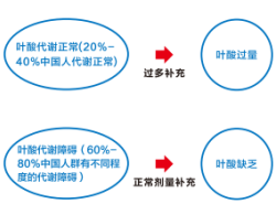 c7c7娱乐平台官网入口(中国游)官方网站