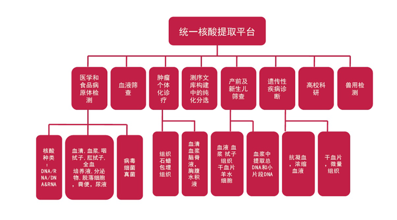 c7c7娱乐平台官网入口(中国游)官方网站