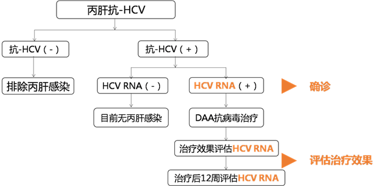 c7c7娱乐平台官网入口(中国游)官方网站