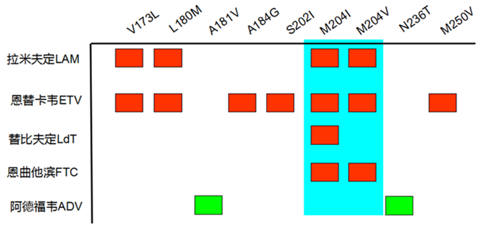 c7c7娱乐平台官网入口(中国游)官方网站