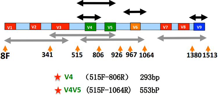 c7c7娱乐平台官网入口(中国游)官方网站