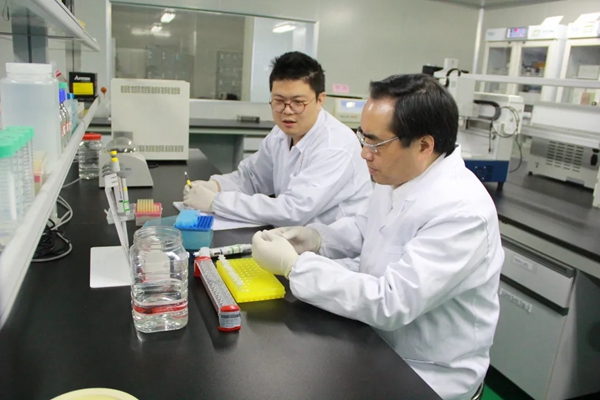 c7c7娱乐平台官网入口(中国游)官方网站