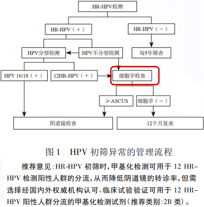c7c7娱乐平台官网入口(中国游)官方网站